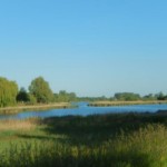 Foto's Ad de Hoon